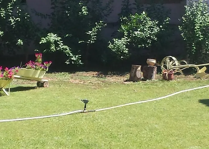 阿维顿酒店 酒店