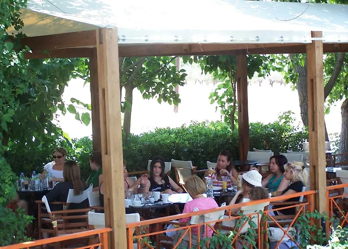 阿维顿酒店 * 利勾里昂